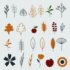set of vector leaves nature illustration