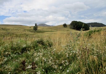 Paysage de campagne vallonnée dans le Massif du Sancy, Auvergne, France.