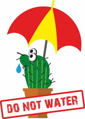 Cute succulent or cactus plant in ceramic pot with umbrella, watering flowers concept
