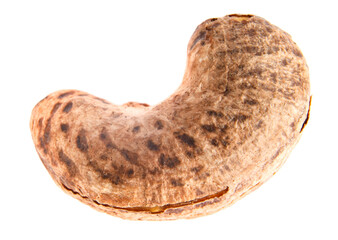Two cashew in closeupThe cashew nut in the shell is isolated on a white background.