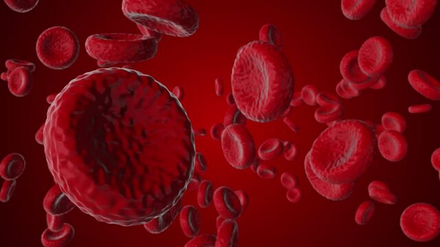 Blood Cells Moving Stock Footage