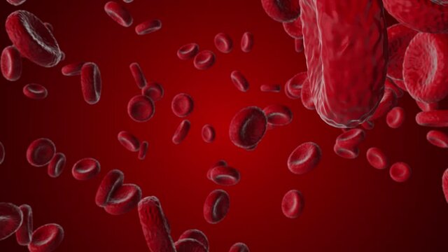 Blood Cells Moving Stock Footage