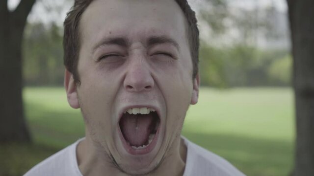 Headshot of furious young Caucasian man yelling at camera. Close-up portrait of angry brunette guy shouting out loud standing outdoors in summer park. Anger and fury concept.