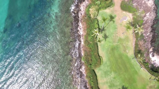 Top down aerial view turquoise ocean waves and palm trees on Maui coast, Hawaii