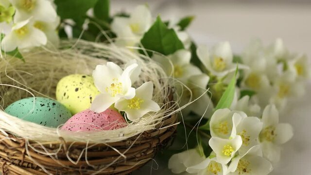 Happy Easter. Painted eggs in a basket with blooming jasmine flowers. Close up of a decorative nest with colored eggs for the Easter holiday rotating in circle.