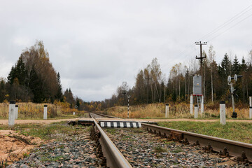 Fototapeta premium railway in the colorful autumn forest in russian outback