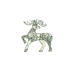 Deer. Beautiful decorative deer with big antlers wild, forest animals on white background. Graphic image of a decorative deer with large horns and a pattern on the body for decoration.