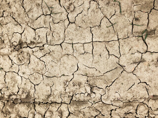 Sandy soil, salt marshes, the texture of the earth