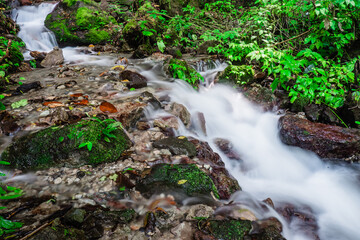 Rushing river flows over colorful rocks, which originate from a waterfall hidden in a dense tropical forest.