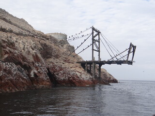 Isla de Paracas.