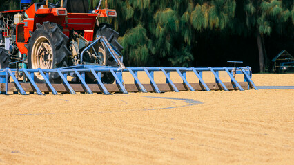 Part of red tractor is working on grain paddy rice drying courtyard inside of rice mill area, agriculture industry concept © Prapat