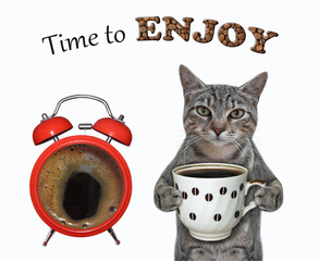 A gray cat drinks coffee at a big alarm clock. Time to enjoy. White background. Isolated. - 402195444