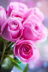 Beautiful Roses Bouquet Background with Sun Lens Flares