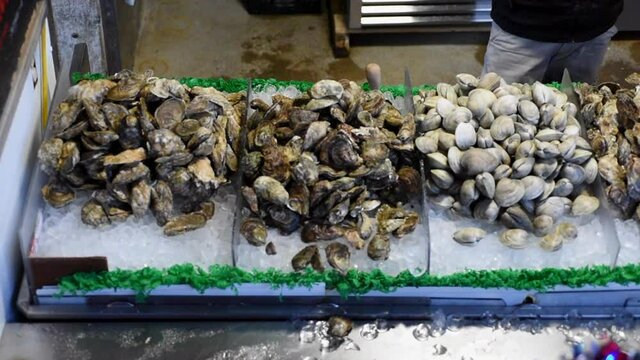 Different types of Premium Live Oysters for sale in fish market. 