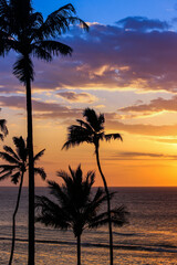 Colorful Hawaiian Sunset With Palm Tree Silhouette
