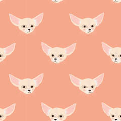 Face of fennec, an African Fox on a pink background