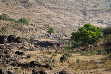 Fototapeta na wymiar Ethiopian landscape with dry grass and green trees in the background