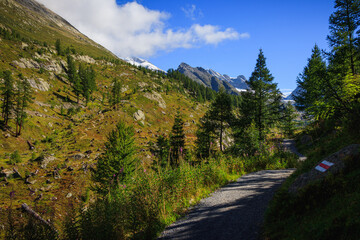 Naklejka premium hikingpath in the lötschtal to the anenhütte house alm stone, rocks