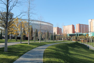 Fototapeta premium park 