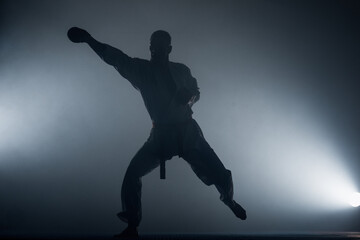 Fototapeta na wymiar Martial arts master on fight training in gym