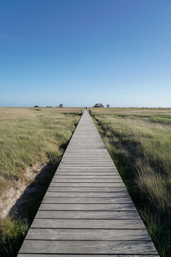 St. Peter-Ording, Holzsteg durch Salzwiesen