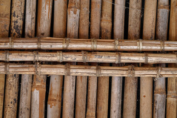 interestingly related bamboo tree constructions