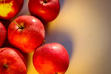 Several ripe red apples stand on a white background illuminated by rays of the sun