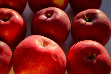 Several ripe red apples stand on a white background illuminated by rays of the sun