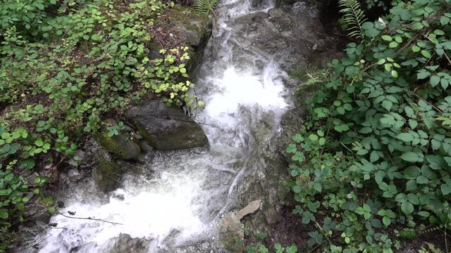 Ueble Schlucht bei Laterns in Vorarlberg