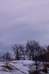 Obraz na płótnie Canvas Winter in the park, Brasov, Transylvania, Romania 