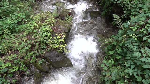 Ueble Schlucht bei Laterns in Vorarlberg