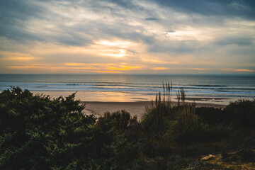 Fototapeta premium Atardecer en la playa de invierno nubes arena reflejos sur de españa con junco