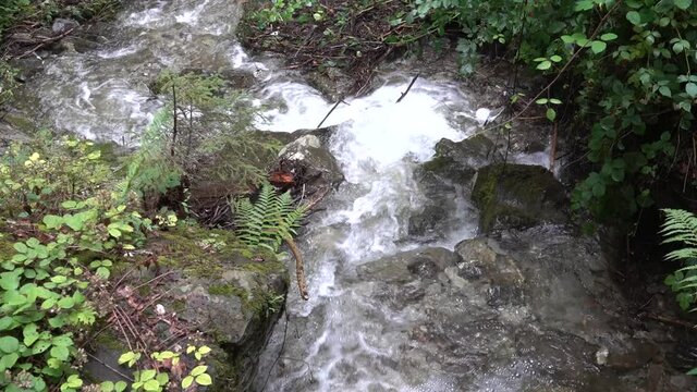 Ueble Schlucht bei Laterns in Vorarlberg