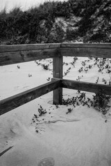  paisaje natural madera barandilla escalera bajada a playa natural grietas desenfoque blanco y negro