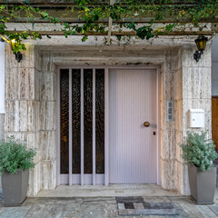 Fototapeta premium house front with pale colored wood and glass entrance door, decorated with two potted plants