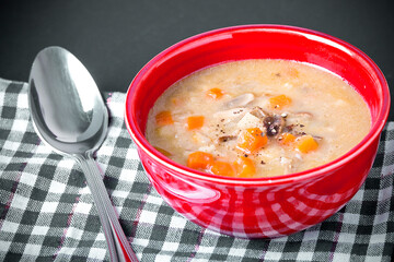 homemade mushroom soup made from boletus mushrooms