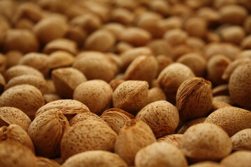 Many shelled almonds