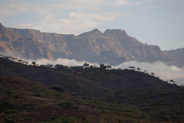 summer landscape in the dry period of Ethiopia on the mountains