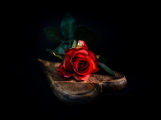 A single red rose on a heart shaped piece of wood.