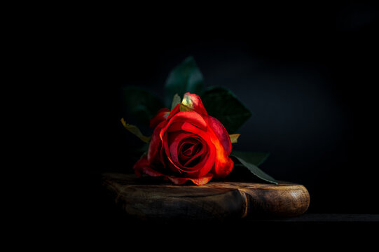 A single red rose on a heart shaped piece of wood.