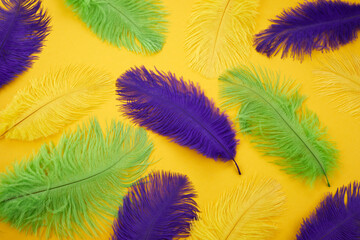 Mardi gras color feathers background. Nature patern