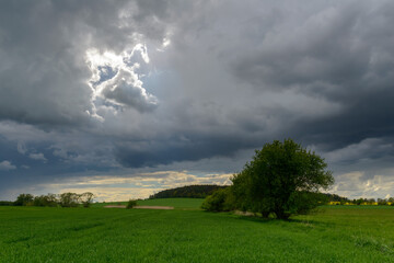 Fototapeta na wymiar landscape before the storm, Pilsen region, Czechia
