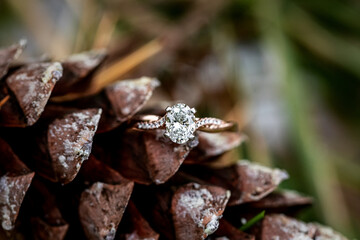 Rose Gold Engagement Ring on PineCone