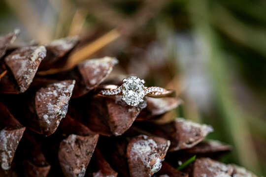 Rose Gold Engagement Ring On PineCone