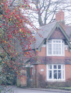 Highbury park entrance Yew Tree Lane