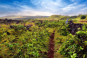 Panoramic view of green landscape on Easter Island - Rapa Nui, showing volcanic rocks and vegetation against a blue sky.