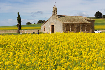 una familia pasea por los alrededores de una ermita rodeados por campos de flores amarillas.