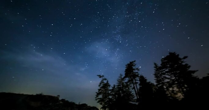 A moving time lapse of a beautiful milky way night sky with silhouetted trees. 4K 24FPS.