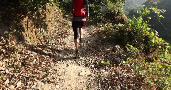 Woman trail runner running at sunrise tropical forest