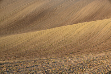Naklejka premium landscape of South Moravia, Czechia